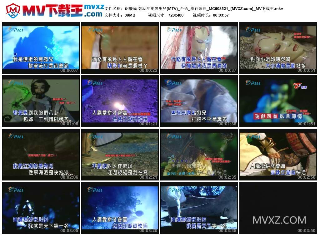 谢顺福-轰动江湖黑狗兄(MTV)_台语_流行歌曲_MC503521